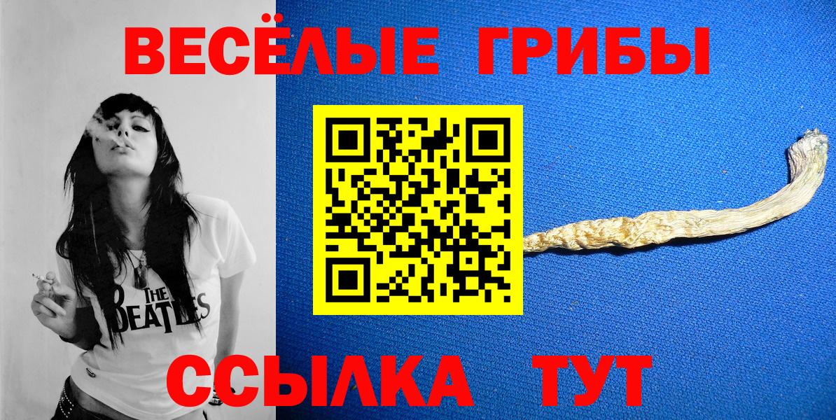 Псилоцибиновые грибы GOLDEN TEACHER  Вход с VPN  Псилоцибиновые грибы мицелий  Тосно 